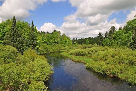 chequamegon nicolet national forest